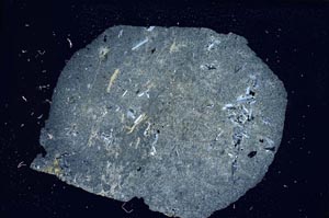 Cross Polarized, S8958