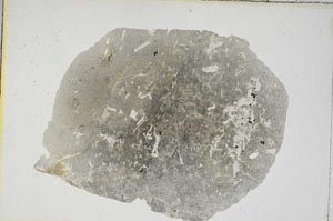 Plane Polarized, S8958