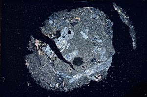 Cross Polarized, S8959