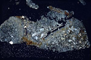 Cross Polarized, S8972