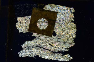 Cross Polarized, S9000