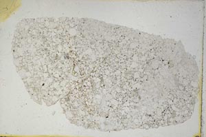 Plane Polarized, S9059