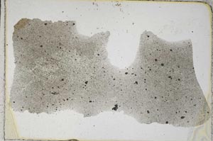 Plane Polarized, S493/D