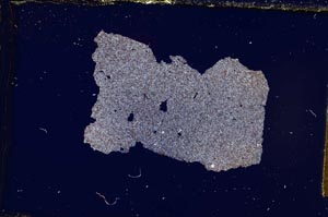 Cross Polarized, S540