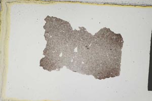 Plane Polarized, S540