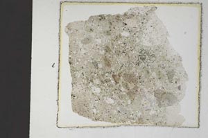Plane Polarized, S9154