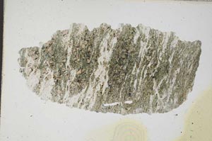 Plane Polarized, S9185