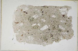 Plane Polarized, S9187