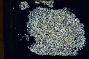 Cross Polarized, S9188