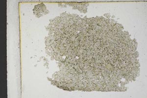 Plane Polarized, S9188