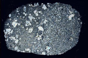 Cross Polarized, S9189