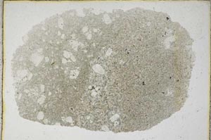 Plane Polarized, S9189