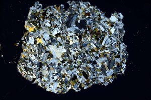 Cross Polarized, S9199