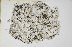 Plane Polarized, S9199