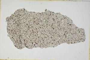 Plane Polarized, S9221