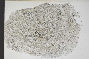 Plane Polarized, S9233