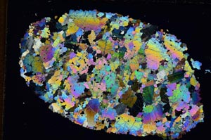 Cross Polarized, S9235