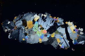 Cross Polarized, S9237