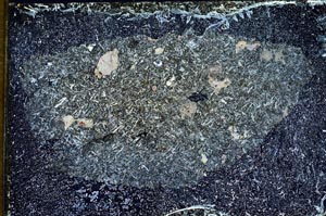 Cross Polarized, S9248