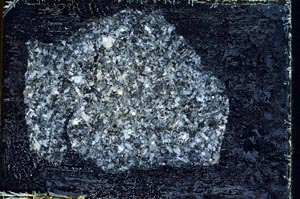 Cross Polarized, S9255