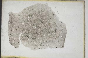 Plane Polarized, S9255