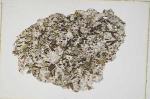 Plane Polarized, S9298