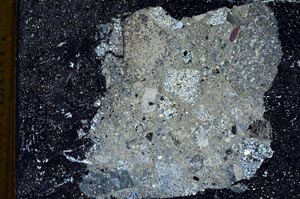 Cross Polarized, S9299