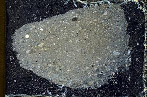 Cross Polarized, S9301