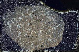 Cross Polarized, S9302