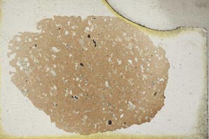 Plane Polarized, S9302