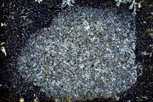 Cross Polarized, S9304