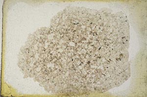 Plane Polarized, S9304