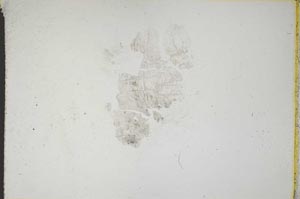 Plane Polarized, S9322/E