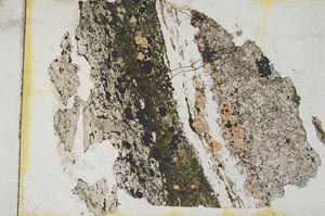 Plane Polarized, S9325