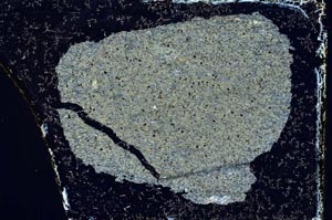 Cross Polarized, S9355