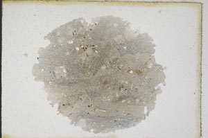 Plane Polarized, S9356