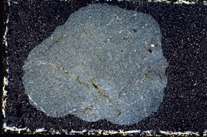 Cross Polarized, S9357