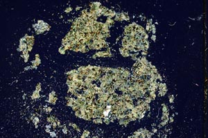 Cross Polarized, S9358