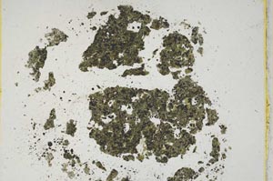 Plane Polarized, S9358