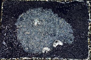 Cross Polarized, S9360