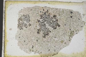 Plane Polarized, S9363