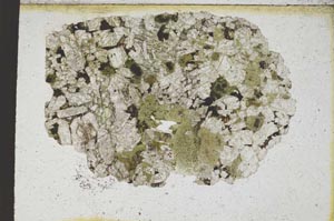 Plane Polarized, S9364