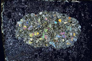 Cross Polarized, S9365