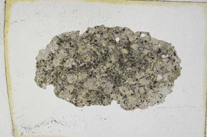 Plane Polarized, S9365