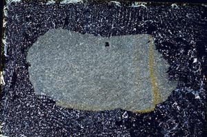 Cross Polarized, S9367