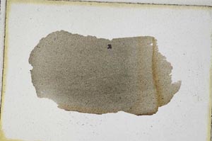 Plane Polarized, S9367