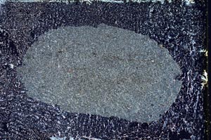 Cross Polarized, S9369