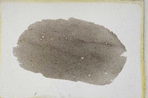 Plane Polarized, S9369