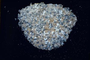 Cross Polarized, S9404