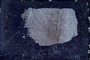 Cross Polarized, S9444